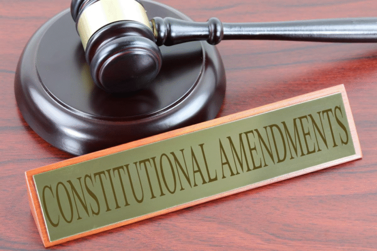 EIGHT-CSO CONSORTIUM BACKS BILL 7 PROCESS, MOVES TO JOIN OASIS FORUM COURT CASE