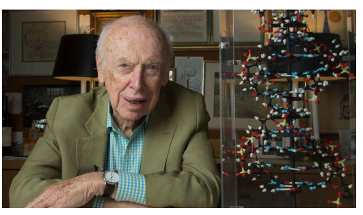 image_2025-11-08_110428545