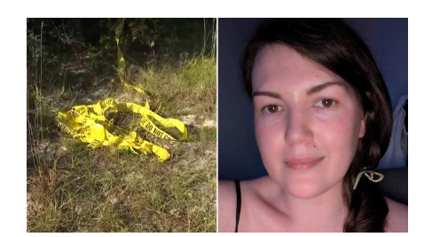 image_2025-11-21_012309299