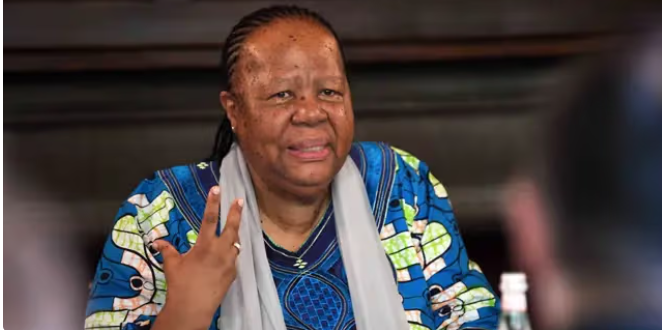 image_2025-11-21_015358037