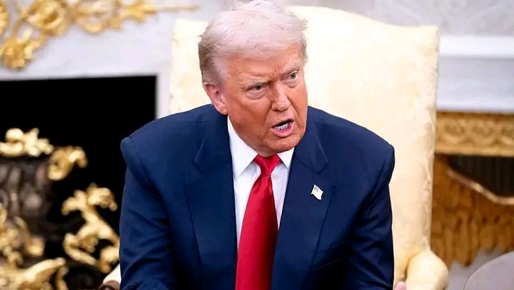 Trump says NO MORE SOMALIANS in the USA