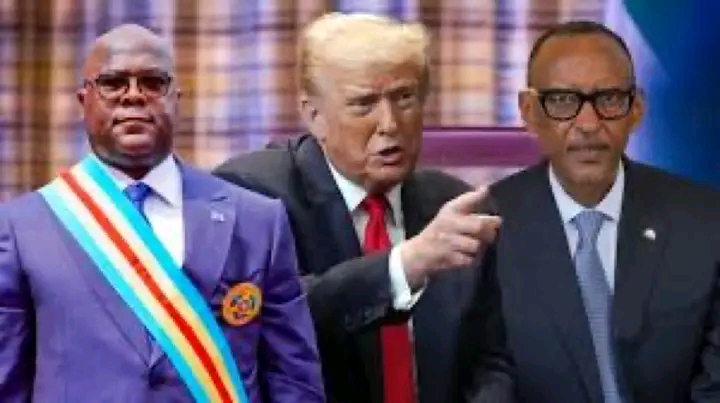 “We’re getting a lot of the mineral rights from the Congo”- Trump