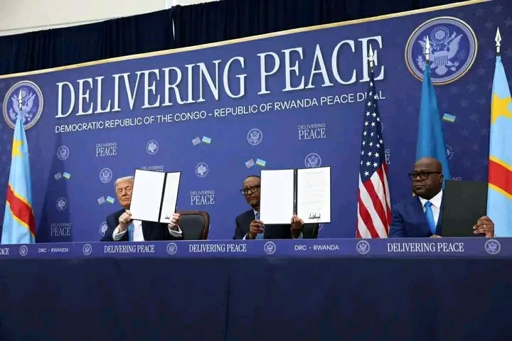 PEACE FOR AFRICA SHOULD BE MADE IN AFRICA