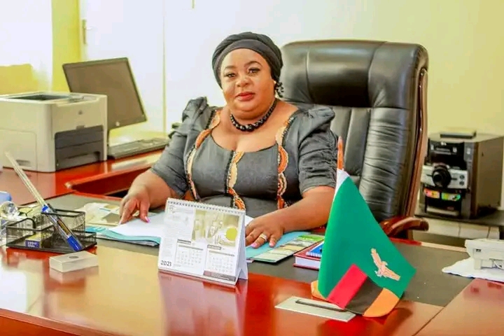 ZCID ADVOCATES FOR MIXED MEMBER PROPORTIONAL REPRESENTATION TO CREATE MORE INCLUSIVE PARLIAMENT