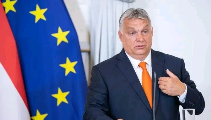 Is the EU Losing Its Credibility? Orban’s Accusation and Elon Musk’s Shockwave