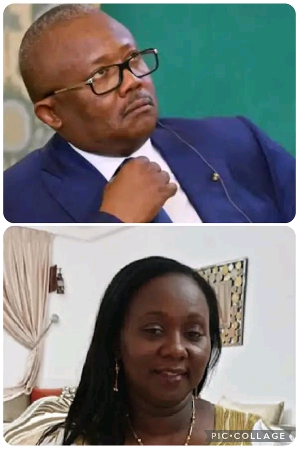 Guinea-Bissau: The wife of the ousted president, Emballo Sissoko, was transporting 5 million euros in a private plane bound for Portugal-Confidential Africa