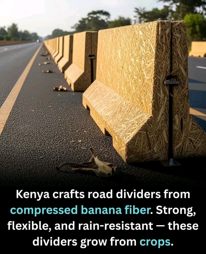 KENYA TURNS BANANA WASTE INTO ROAD DIVIDERS