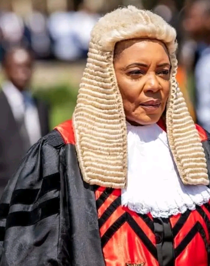 Nelly Mutti’s Bill 7 celebratory dance concerning – TIZ