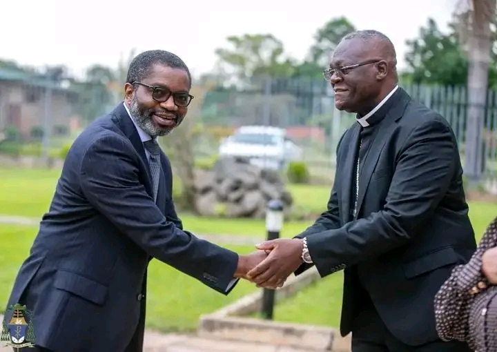 “A Collapse of the Parliamentary Aspect of Our Constitutional Order” —Sangwa