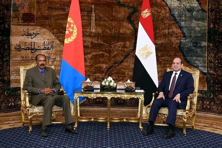 Egypt  Moves to Develop Ports in Eritrea & Djibouti  Amid Nile Dispute with Ethiopia