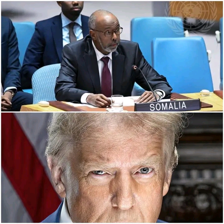 OUTRAGE IN WASHINGTON: SOMALIA TO LEAD UN SECURITY COUNCIL AS U.S. CRITICS QUESTION GLOBAL CREDIBILITY
