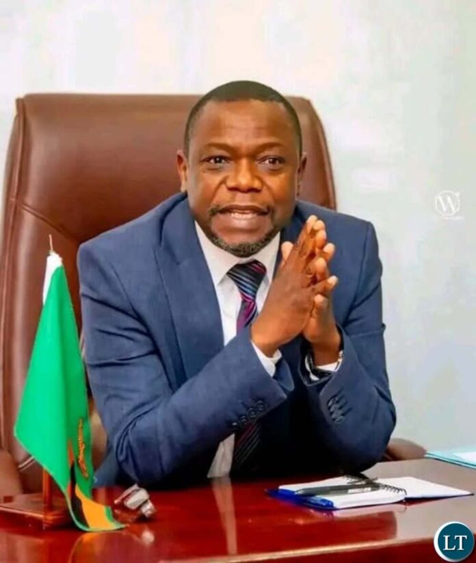 Minister-of-Small-and-Medium-Enterprises-SMEs-Development-Elias-Mubanga (1)