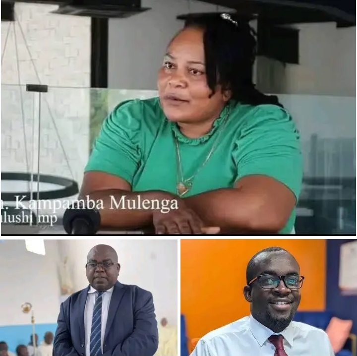 “Trusted PF members of Parliament” who voted for Bill 7