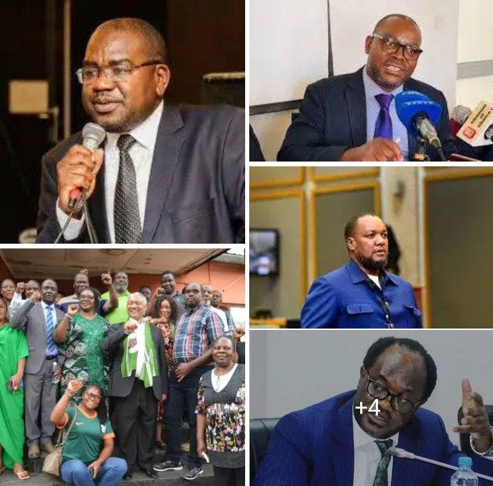2025 IN REVIEW: Outbreak of presidential candidates in PF