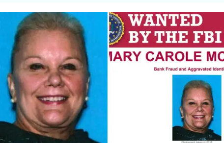 image_2025-12-12_094236719