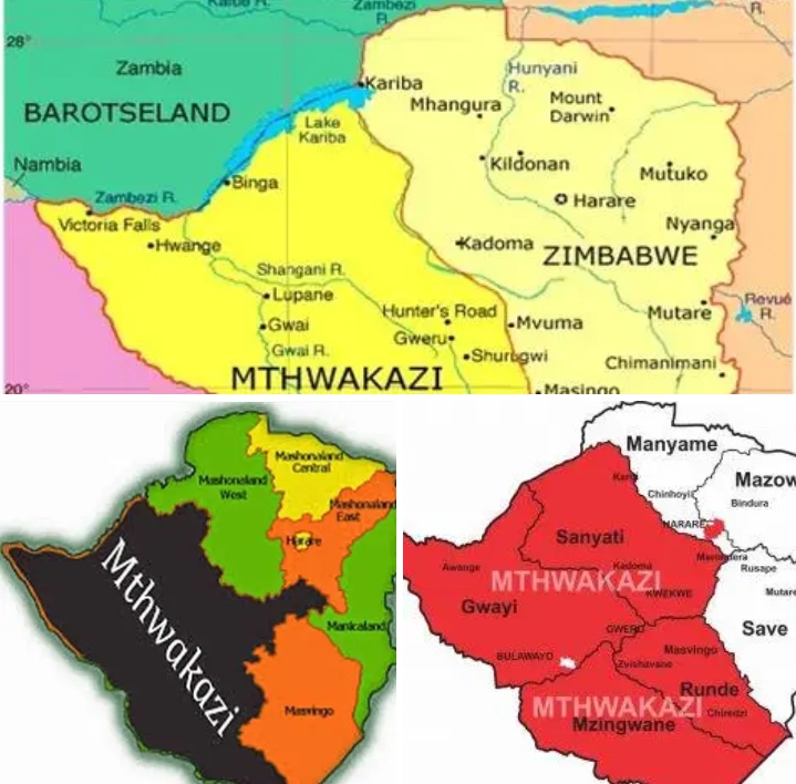 A political party in Zimbabwe&nbsp; is seeking to divide Zimbabwe into two separate countries