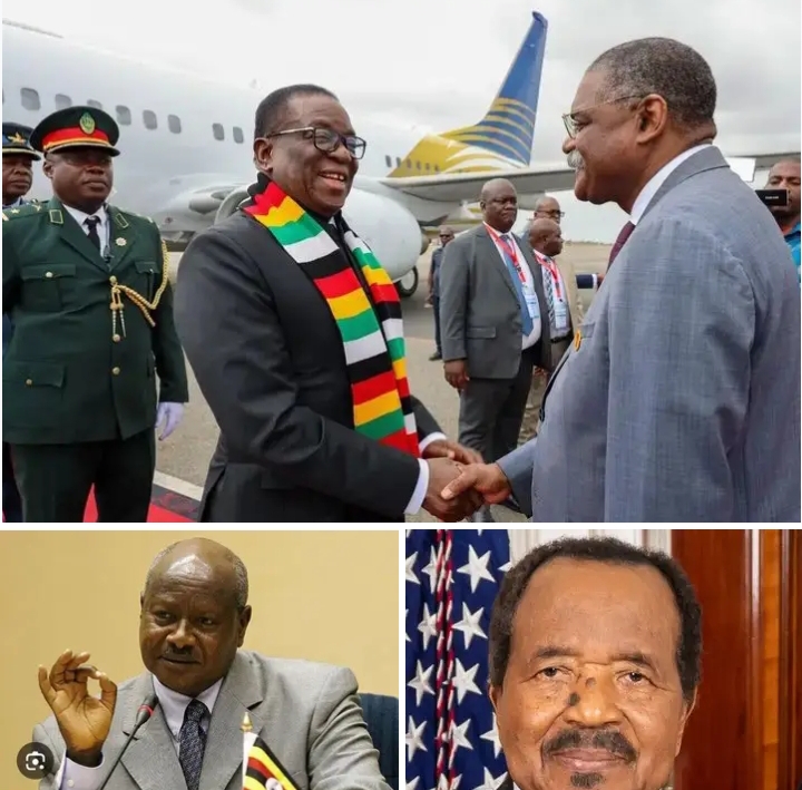 Screenshot_20260131-211931