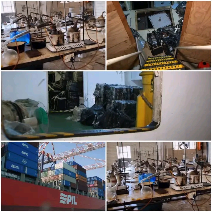 image_editor_output_image1165511864-1768449836806