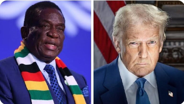 Zimbabwe Turns Down US$350 Million US Health Funding Deal Over Sovereignty Concerns
