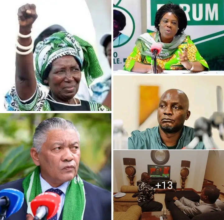 Screenshot_20260213-205314