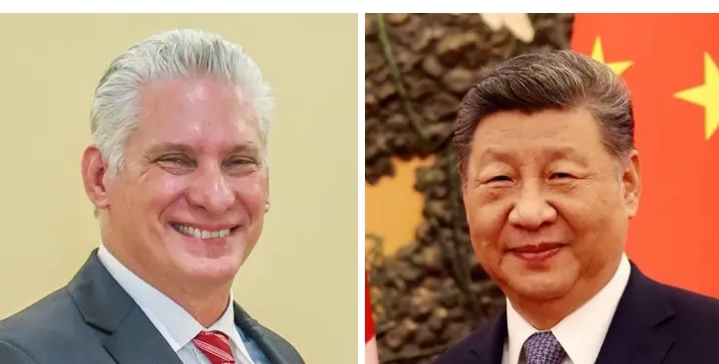 image_editor_output_image-1509081022-1771012337611