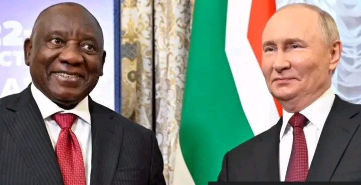 image_editor_output_image-1711955536-1772041139361