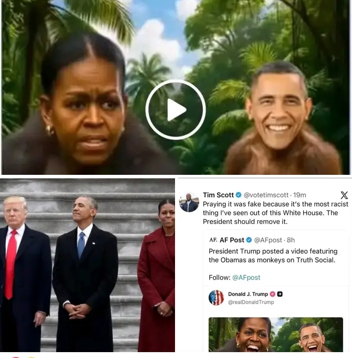 Trump Faces Backlash After Racist Obama Video Post is Deleted
