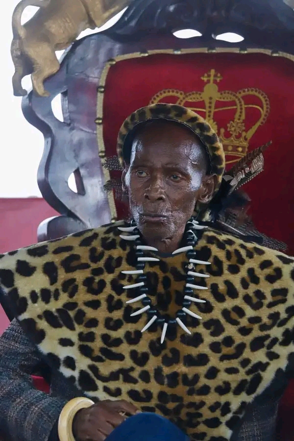 ZAMBIANS CAN’T REMOVE HH AFTER JUST 5-YRS – MPEZENI‎… the opposition is lying about