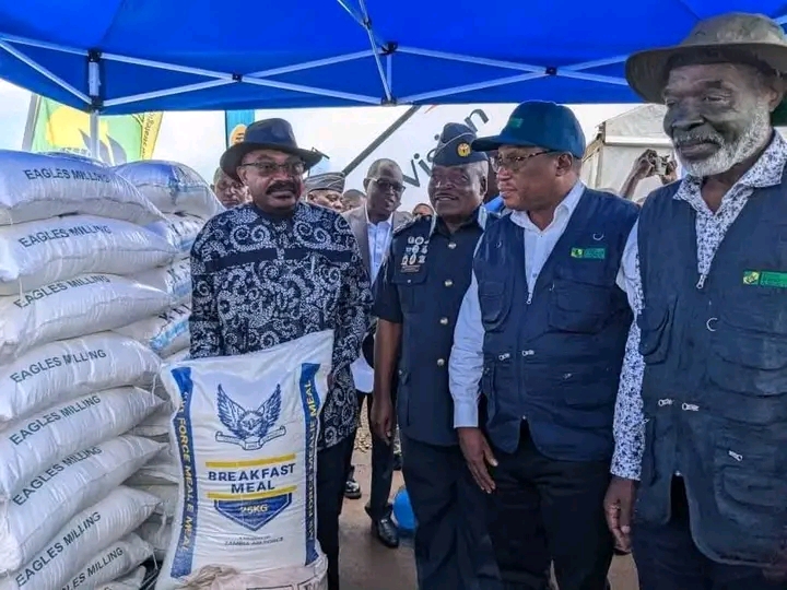 ZAF SHOULD FOCUS ON DRONES, AIRSPACE SECURITY, NOT MEALIE-MEAL – NJOBVU