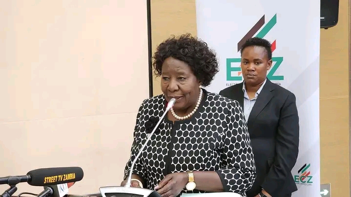 ECZ EXTENDS VOTER REGISTER INSPECTION PERIOD
