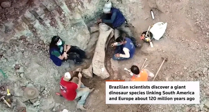 Brazil unearths a monster from the past: Meet Dasosaurus tocantinensis, a 20-meter-long sauropod that just rewrote the dinosaur migration map