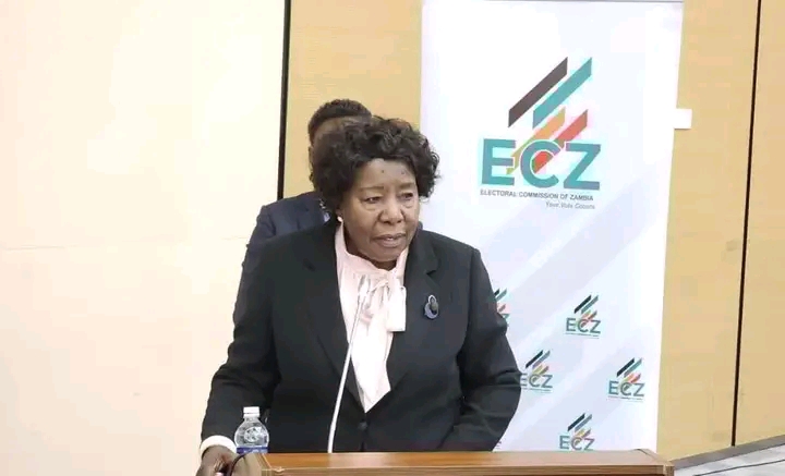 INSULTS DO NOT WORRY US, SAYS ECZ CHAIRPERSON