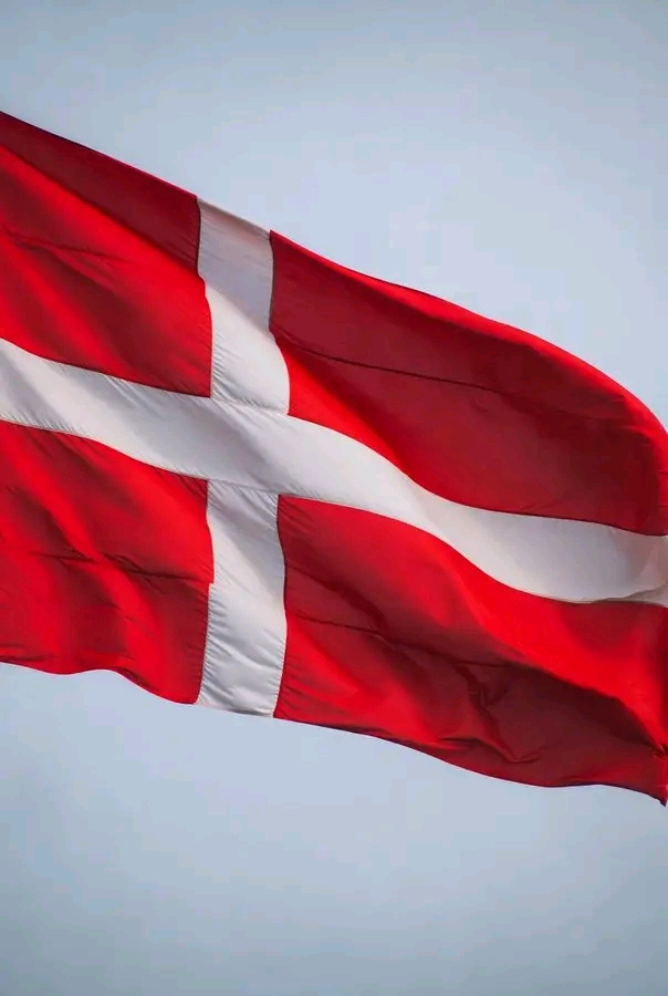 Denmark Steps Up: First NATO Ally Answers Trump’s Call on Hormuz