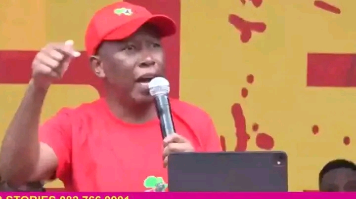 “THEY WANT MY BLOOD!” MALEMA HITS BACK AT SHOCK CLAIMS