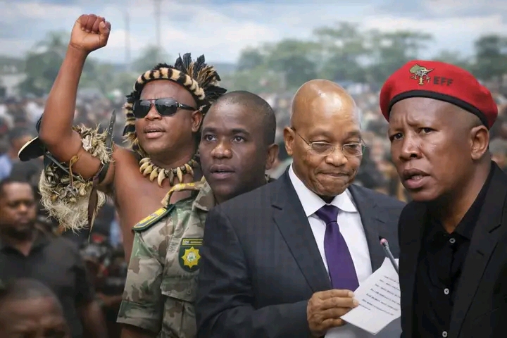 JULIUS MALEMA IN TROUBLE AS HE IS TOLD “YOU’RE NOT WELCOME IN KZN” AFTER ATTACKS ON ZUMA AND GENERAL MKHWANAZI SPARK OUTRAGE