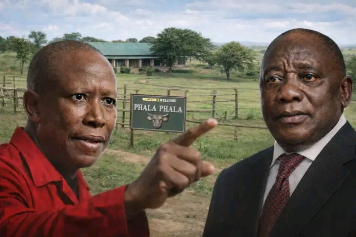 RAMAPHOSA IN TROUBLE AS MALEMA TURNS UP THE HEAT OVER DELAYED PHALA PHALA JUDGMENT — PRESSURE MOUNTS ON THE PRESIDENT
