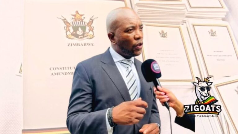 We can’t keep on paying for Zanu PF sins- Mmusi Maimane