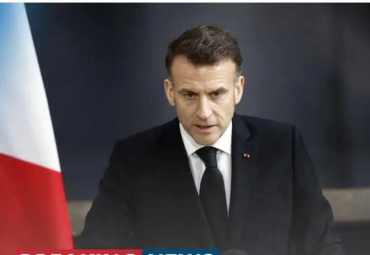 Screenshot_20260303-132210