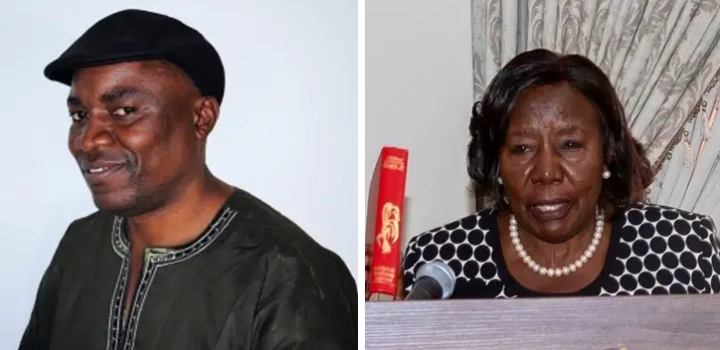 CONCOURT THROWS OUT DELIMITATION CHALLENGE, CLEARS ECZ TO PROCEED