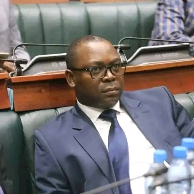 THE UNEMPLOYMENT LEVEL IN UPND HAS WORSENED, GRADUATES ARE NOW MAKING SHAWARMA WHILE OTHERS ARE STREET VENDORS – KAFWAYA