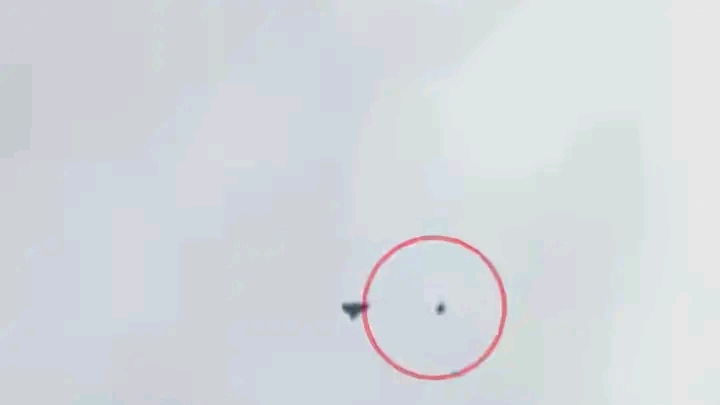 Ukrainian Drone Scores First Kill, Downs Iranian Shahed-136