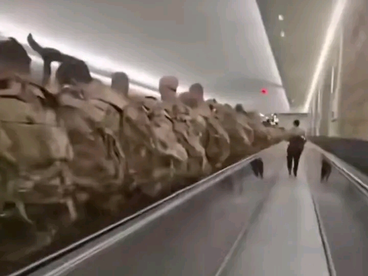 Large U.S. Troop Presence Spotted at UAE Airport, Invasion Rumors Grow but Purpose Unclear