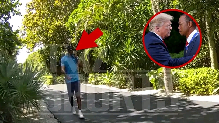 Tiger Woods Told Police He Was on the Phone With Trump During His DUI Arrest