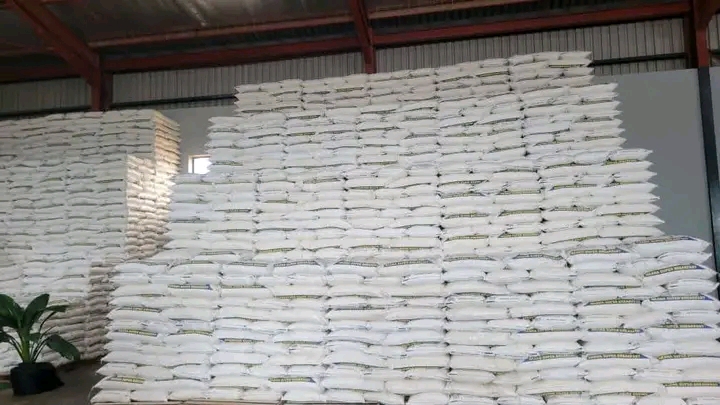 GOVERNMENT REMOVES RESTRICTIONS ON EXPORT OF MAIZE AND MEALIE MEAL TO SUPPORT FARMERS AND CITIZENS