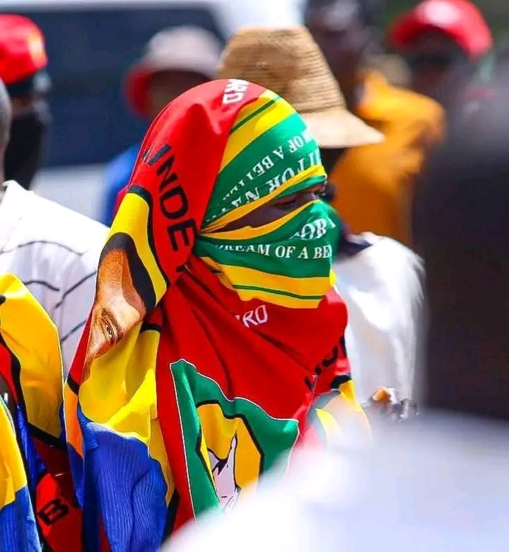 UPND NULLIFIES THREE WARD ELECTION RESULTS