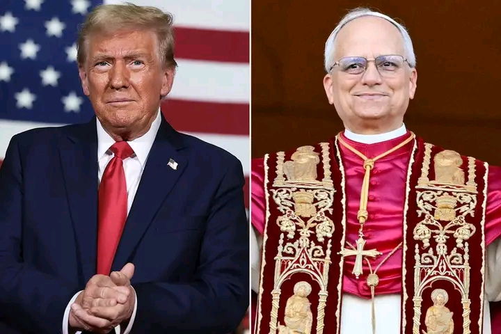 Trump administration pulls $11million funding for Catholic Charity amid clash with Pope