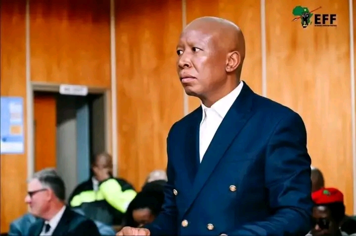 Malema Loses Conviction Appeal but Wins Chance to Fight