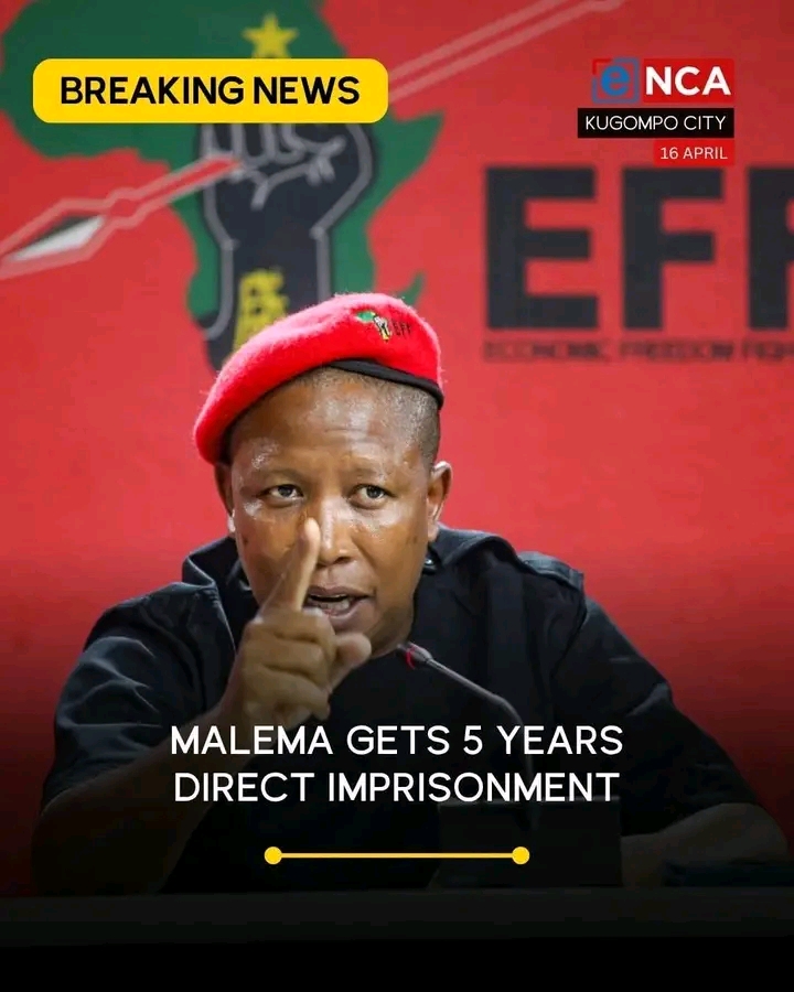 Julius Malema Could Face Yet Another Court Case After Alleged Threats Against State Prosecutor