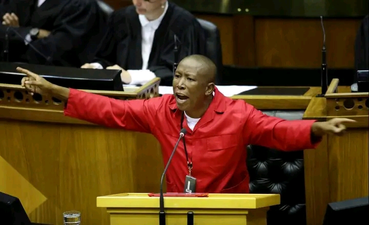 Court Tightens Security After Malema Outburst