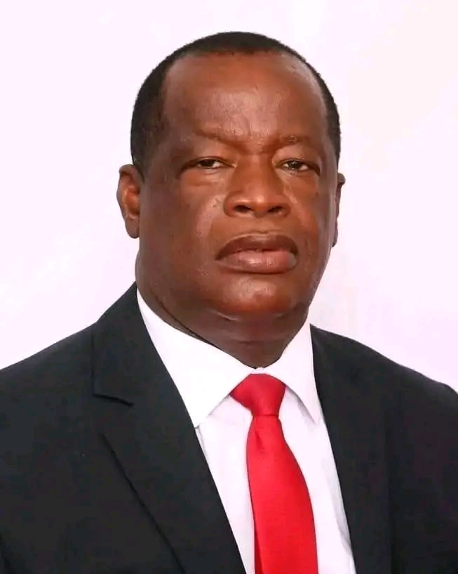 IT DOESN’T MAKE SENSE TO KEEP ADVERTISING JOBS WHEN WE ALREADY HAVE A DATABASE WITH 100 000 APPLICANTS- CHARGES MWIIMBU
